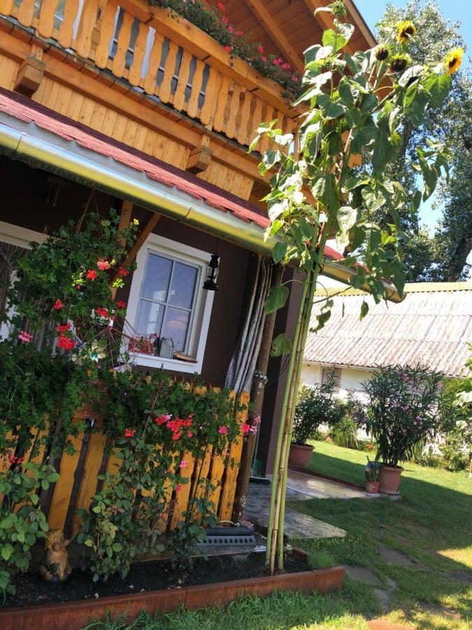 Hero 4 Sterne Ferienhaus 바야 외부 사진